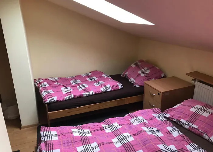 Sciegiennego Hostel *