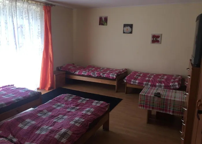 Sciegiennego Hostel *